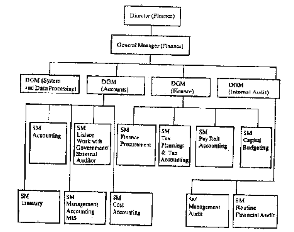 Organisation for accounting and finance, Accounting Basics